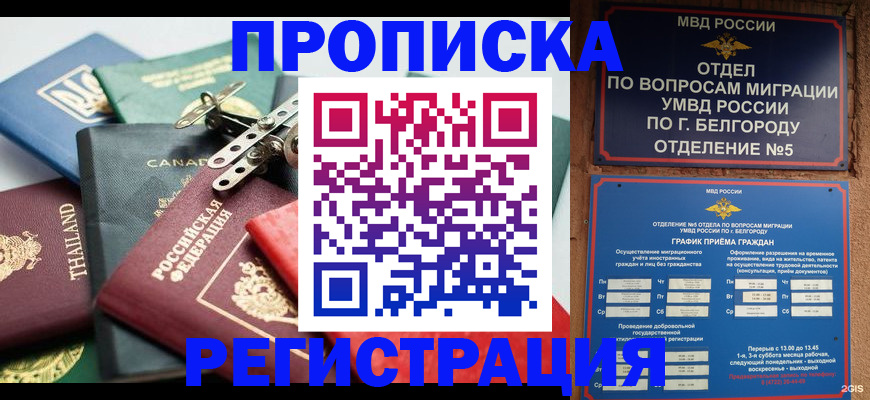 временная регистрация недорого в Чечне