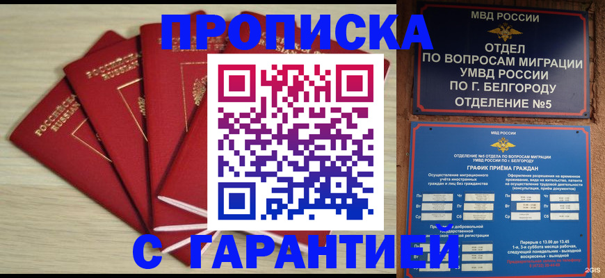 миграционный учет в Чечне